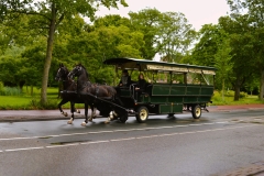 joep-en-otoch-grote-tram
