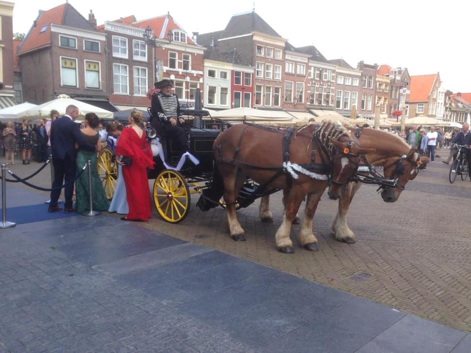 Bruiloften en trouwerijen in Delft