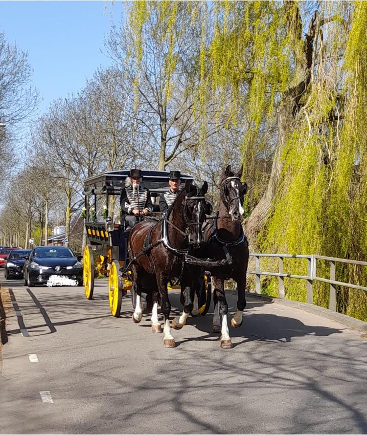 Stijlvolle Rouwvervoer in Delft en Omstreken