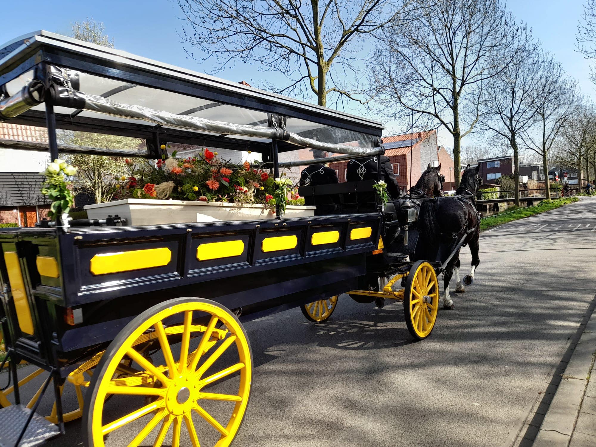 Uitvaart ritten door stalhouderij Delftse Hout